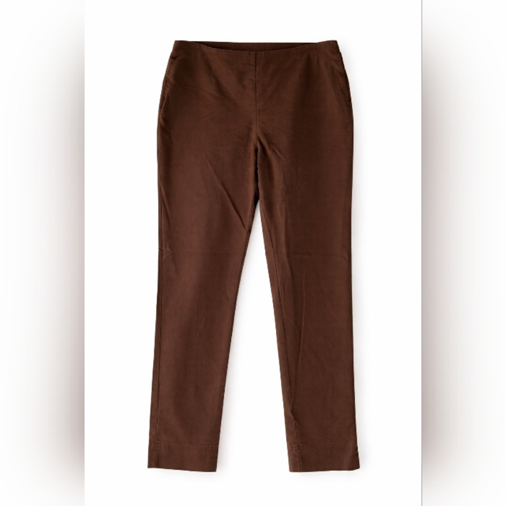 Charter Club Pants Women's Size 10 Petite Classic Fit Brown Straight Leg